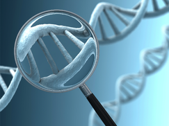 Core Values DNA