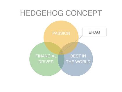 Hedgehog Concept Examples for a Big Hairy Audacious Goal