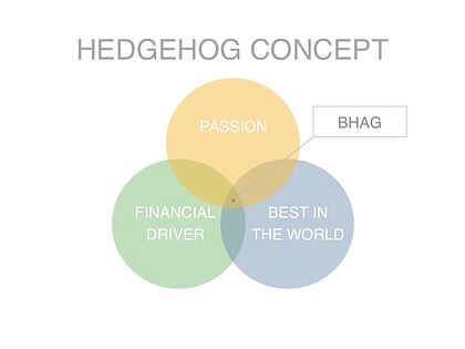 Hedgehog Concept Examples