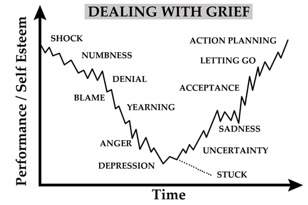 Vistage Chair Phil Holberton Human Grief Chart