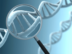 Core Values DNA