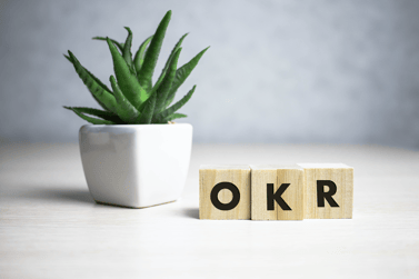 OKR software