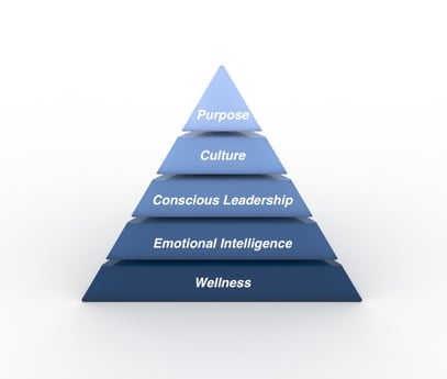 pyramid-of-human-needs-picture-id535569593