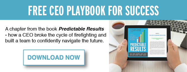 Free CEO Playbook for Success