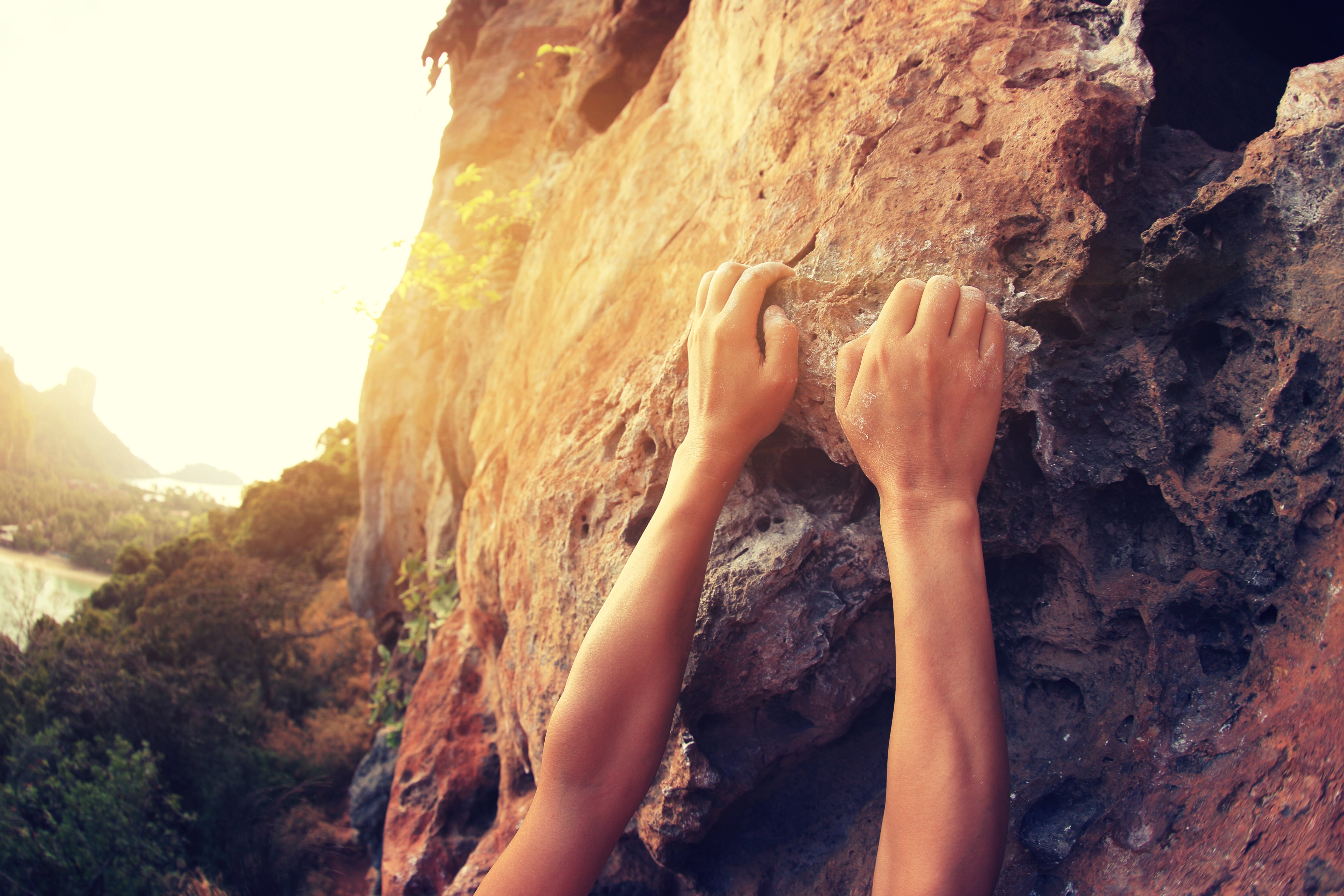 True Grit, Premium Value, Sales Success