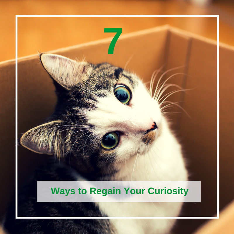 7 Ways to Regain Your Curiosity.png