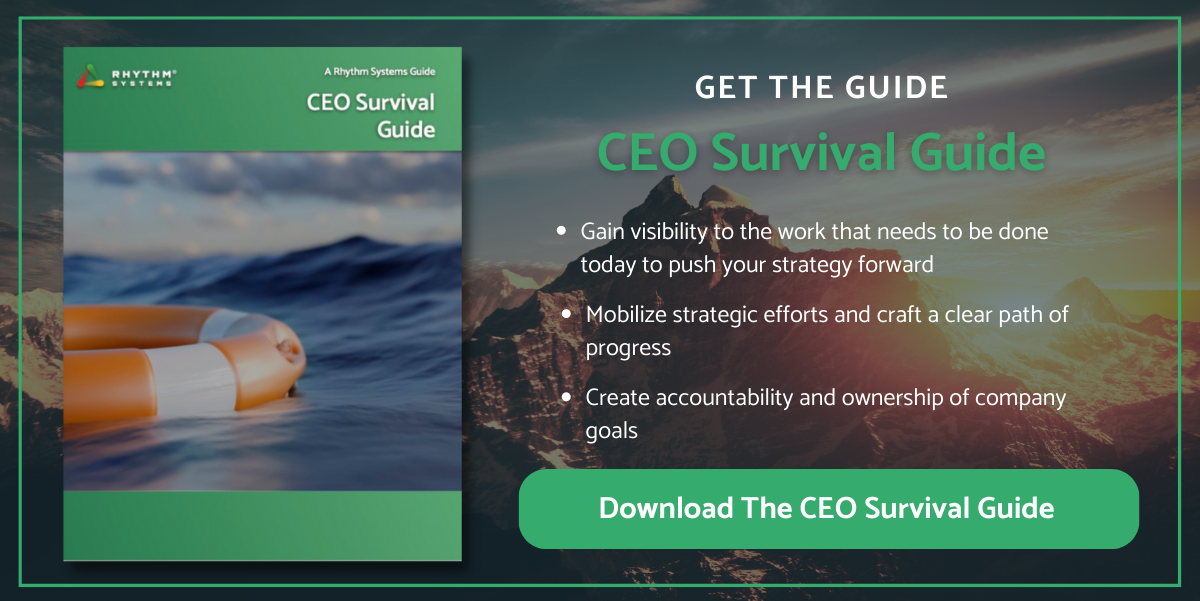 CEO Survival Guide